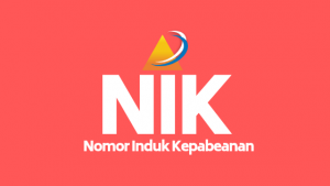 Nomor Induk Kepabeanan